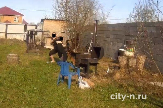Источник: city-n.ru