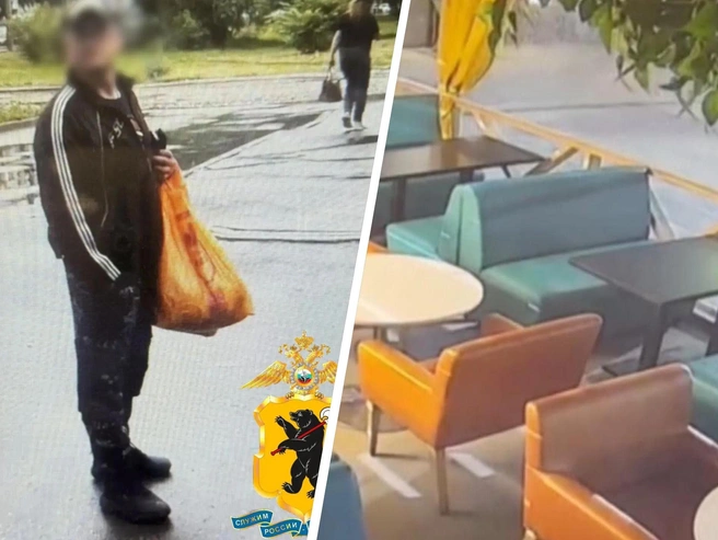Бродяга из Вологодской области заключён под стражу | Источник: УМВД по Ярославской области / Max