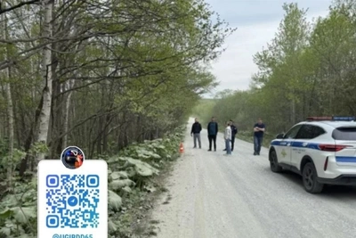 На Сахалине ищут водителя, отвезшего травмированную в больницу
