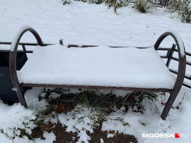 О настоящих сугробах, конечно, говорить еще рано | Источник: читатель MGORSK.RU