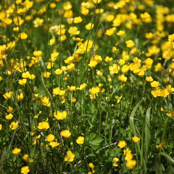 Источник: to_look_further via Shutterstock/Fotodom.ru