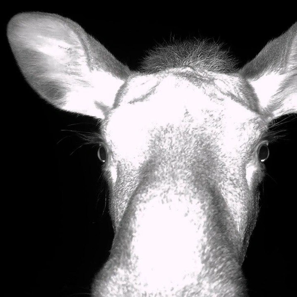 Источник: t.me/kazdoytvaripopare