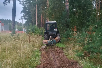 В Пензе обновляют минерализованные полосы