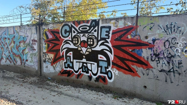 А с другой — бетонная стена с граффити | Источник: 72.RU