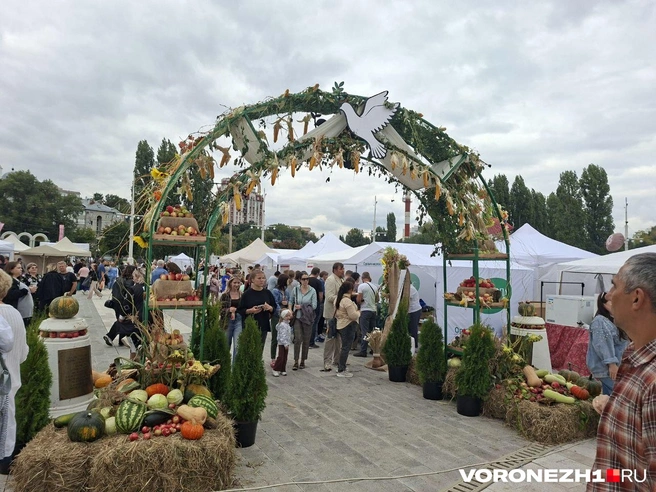 Источник: Алёна Воропаева / Voronezh1.ru
