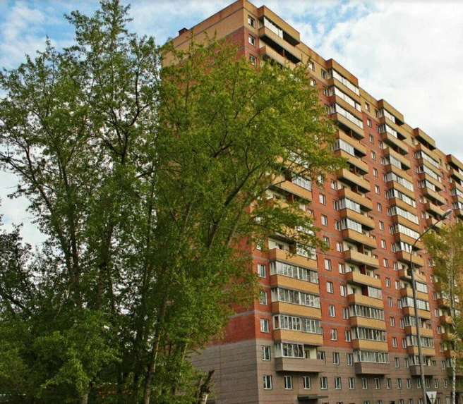 Сегодня жильцы дома на Добролюбова, судя по отзывам на 2GIS, жалуются на частые отключения электричества. В остальном их всё устраивает | Источник: «Яндекс.Недвижимость»