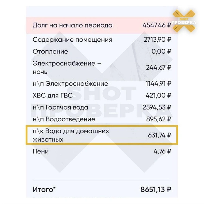 Источник: Shot Проверка / T.me