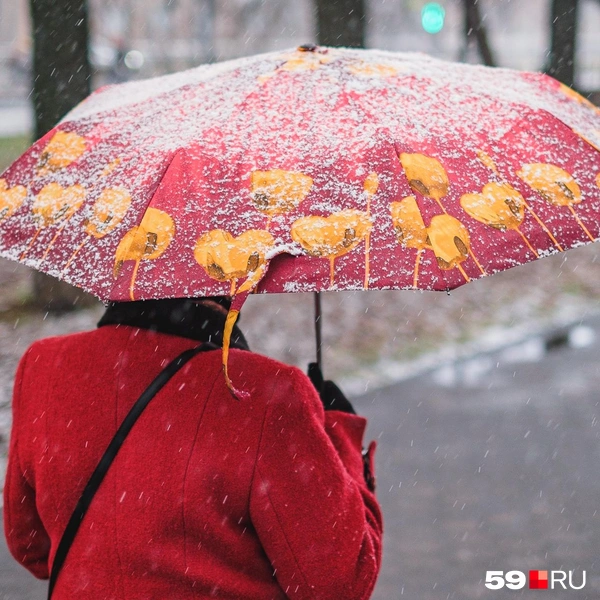 Источник: Тимофей Калмаков / 59.RU