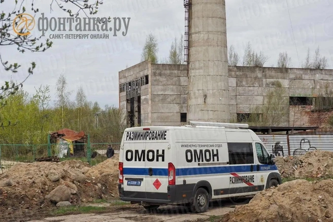 архивное фото | Источник: Михаил Огнев / «Фонтанка.ру»
