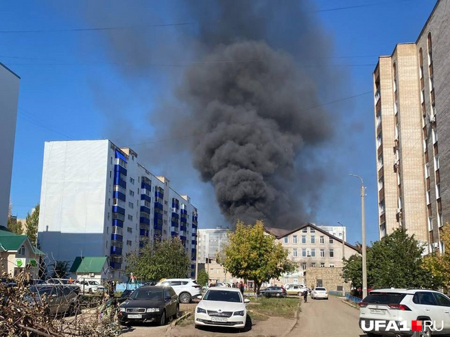 Девица раздевается по нашей просьбе