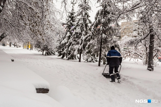 Снегопад&nbsp;— всегда нагрузка на город | Источник: Анна Золотова / NGS.RU