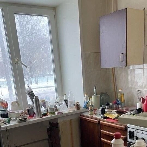 Источник: Ксения Рождественская
