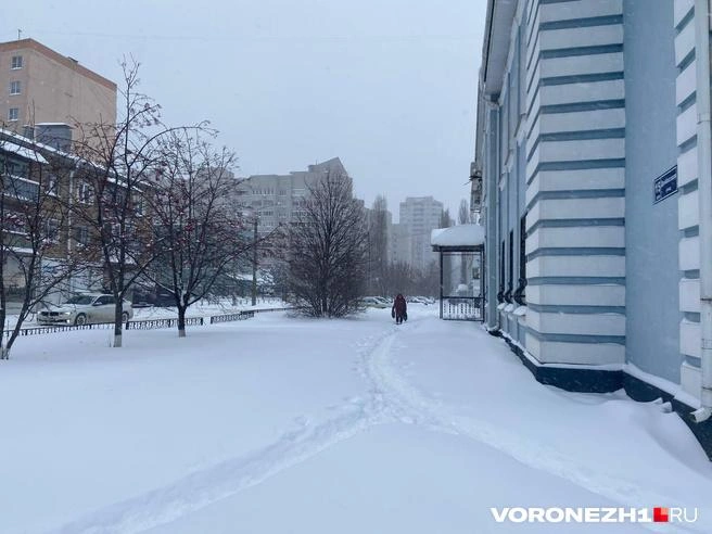 Многие маленькие улочки выглядели в тот день вот так&nbsp;— понять, что это тротуар, можно было только по протоптанным дорожкам | Источник: Дмитрий Волгин / Voronezh1.ru