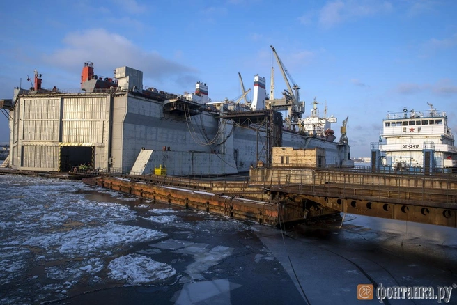 Источник: автор фото Константин Селин/«Фонтанка.ру»