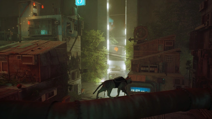 Источник: Кадр из игры Stray