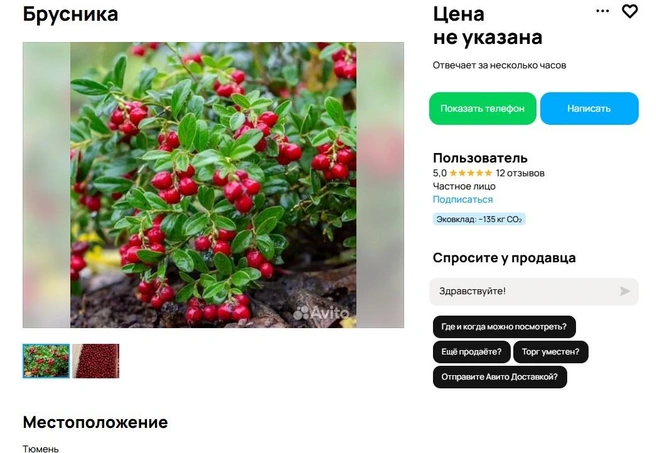 «Местная, из лесов Тюменского района. 400 рублей/литр»&nbsp;— указано в объявлении | Источник: сайт бесплатных объявлений