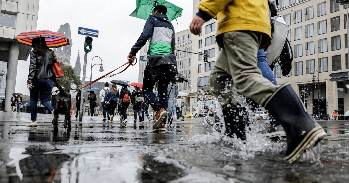 Помог на улице. Улица и лужа Европа. Лужа в парке. Форма против дождя. Raining in Berlin.