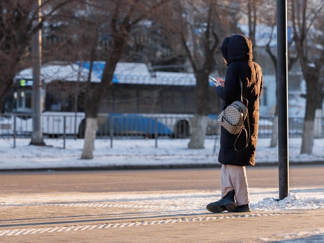 На Невской можно было заметить несколько человек | Источник: Алексей Волхонский / V1.RU