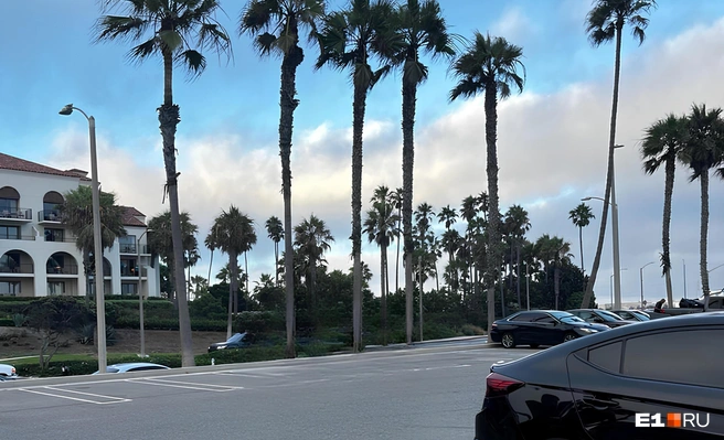 Преступников позже задержала полиция | Источник: Олег Иванов