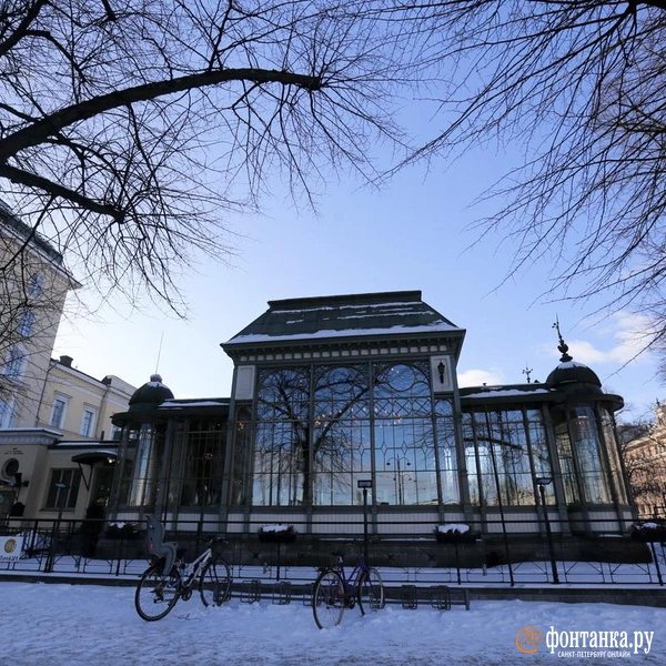 Источник: Ксения Потеева / FONTANKA.RU