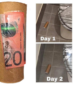 Австралийка разбросала деньги по дому в надежде, что муж и дети возьмутся за уборку, но те ни о чем не догадались