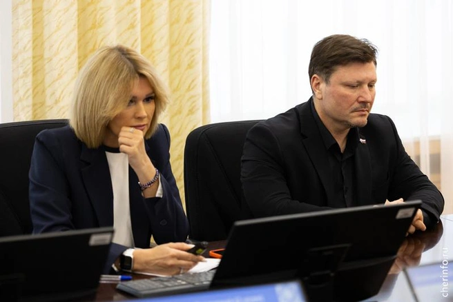 Источник: st.cherinfo.ru