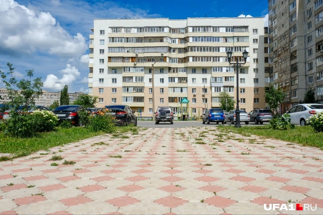 Новые цветы можно уже не сажать — сами вырастут