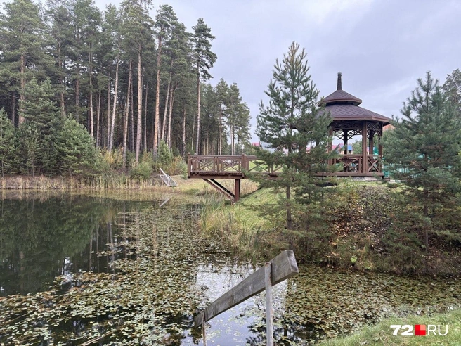 Одна из самых красивых зон в парке | Источник: Мария Токмакова / 72.RU