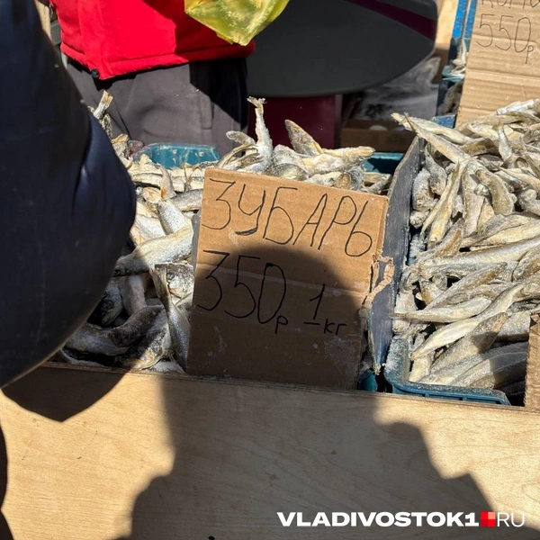 Источник: Елена Буйвол / VLADIVOSTOK1.RU