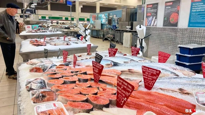 Постановление оказалось фейком | Источник: Александра Балаба