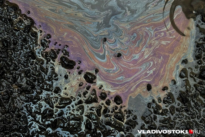 На официальных городских пляжах следов нефти проверяющие не обнаружили | Источник: Елена Буйвол / VLADIVOSTOK1.RU