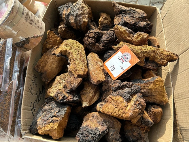 Кому чагу? | Источник: Кристина Полевая / 29.RU