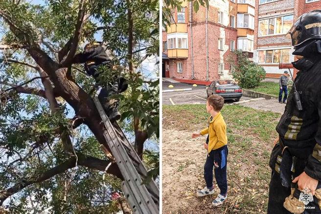 Юного спасателя ждали товарищи по двору | Источник: «МЧС Омской области» / Max.ru