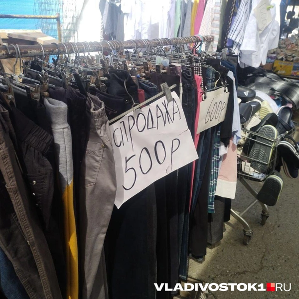 Источник: Екатерина Дымова / VLADIVOSTOK1.RU