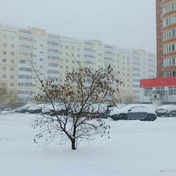Деревья не успели стать зелёными, как вновь всё вокруг усыпано снегом | Источник: читатель 59.RU