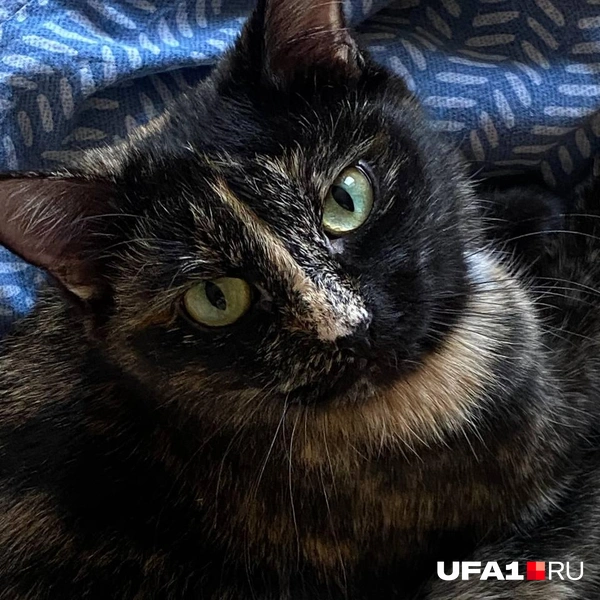 Киса Иса | Источник: Личный архив