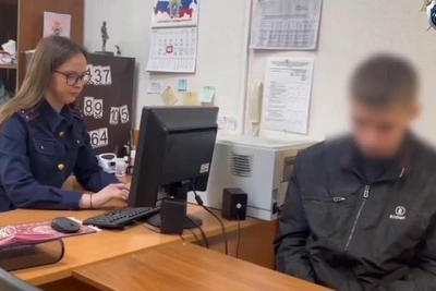 В Новосибирской области будут судить подростка за поджог машин полиции