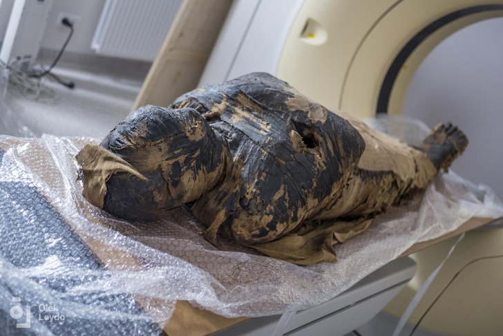 Они боялись утратить душу: восстановлено лицо единственной в мире беременной мумии