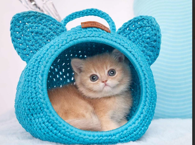 Источник: doska.ykt.ru