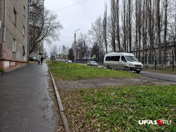 Источник: Булат Салихов / UFA1.RU