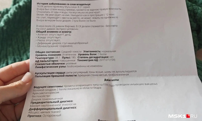 Документ о лечении Оливки | Источник: читатель MSK1.RU