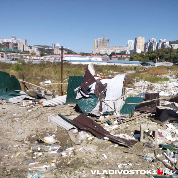 Источник: Екатерина Дымова / VLADIVOSTOK1.RU