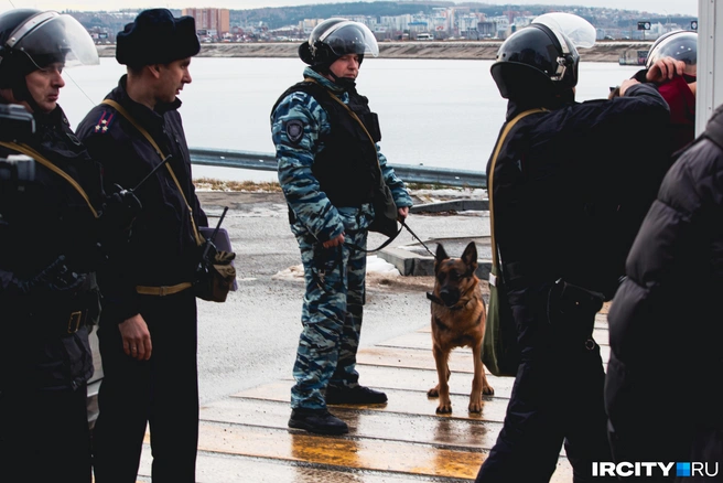 Там их встречает служебная собака, которая что-то нашла у того самого мужчины, внешне больше похожего на заложника, чем на преступника | Источник: Алина Ринчино / «ИрСити»