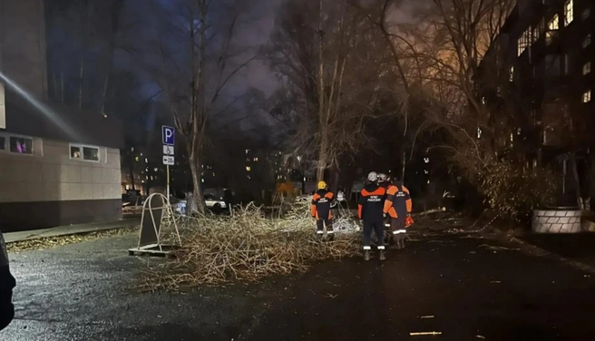 В Барнауле сильный ветер повалил деревья и киоски — фото и видео последствий стихии | Источник: Администрация Барнаула