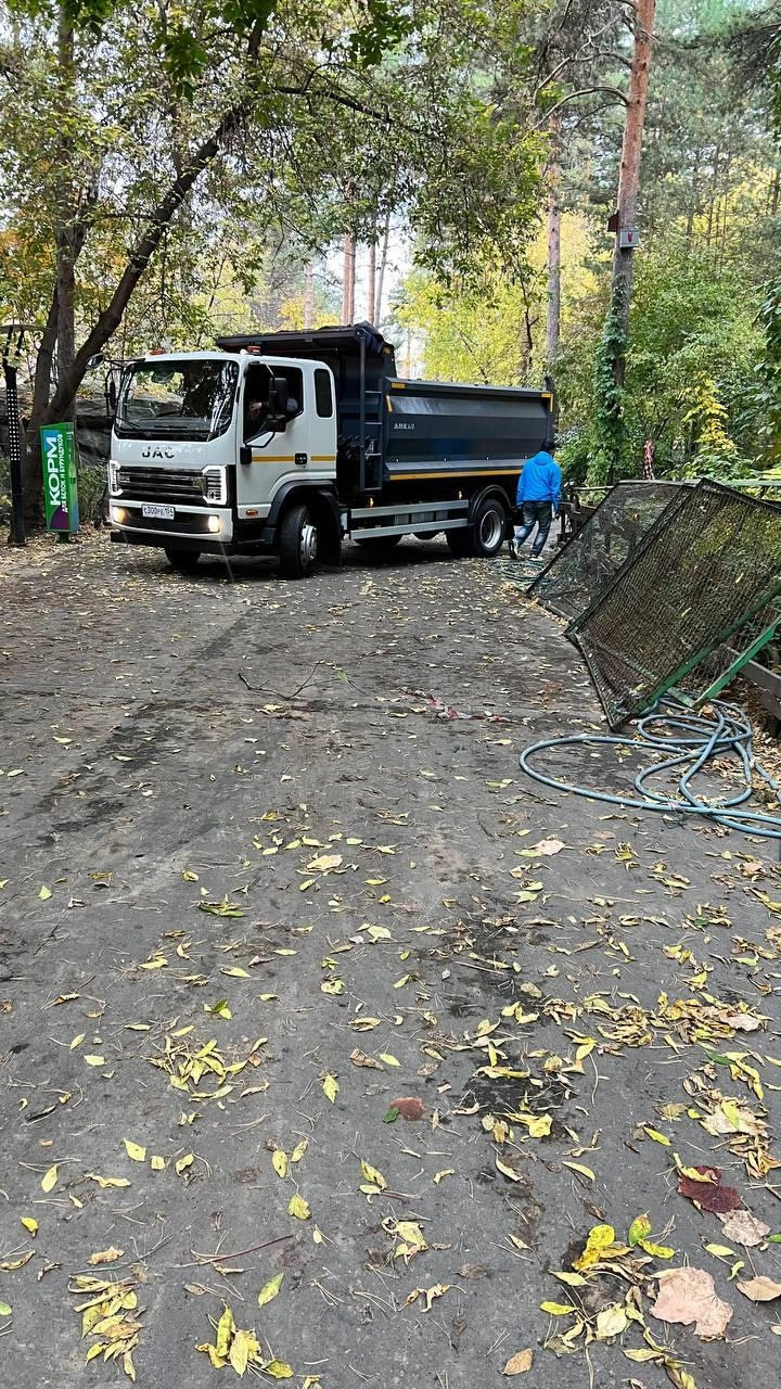 Источник: Анастасия Медведева / NGS.RU