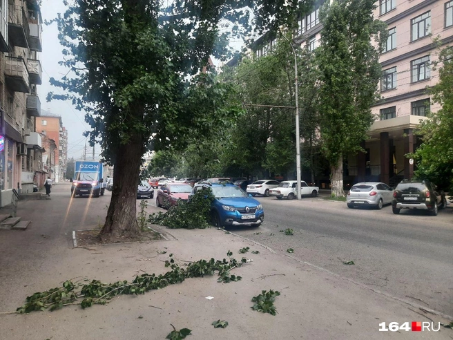 Ветка чуть зацепила припаркованный автомобиль | Источник: Сергей Гендин / 164.RU
