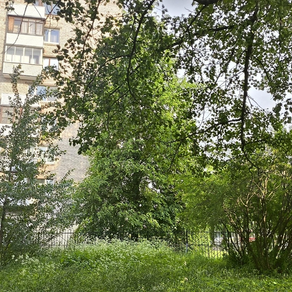 Источник: Против застройки сквера на пр-т Науки 16