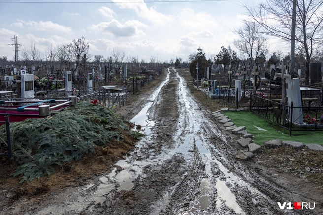 Волжане массово жалуются на состояние кладбищ | Источник: Алексей Волхонский / V1.RU