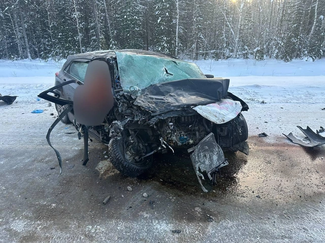 Источник: Госавтоинспекция Тюменской области / T.me