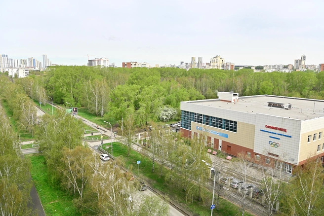 Чтобы оказаться в парке или УСК «Олимпиец», достаточно перейти дорогу | Источник: Максим Воробьев